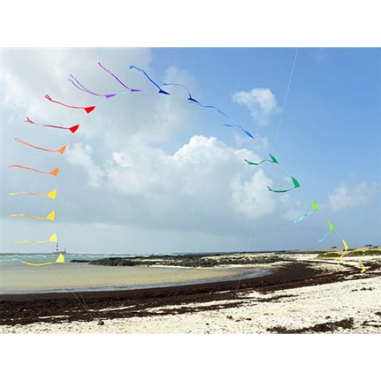 Spiderkites Heavens Gate Kite/Vlieger