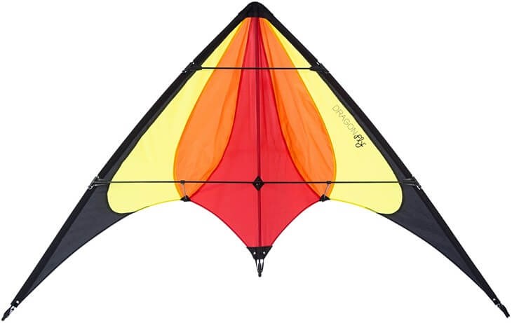 Dragonfly Halny 140 Kite 2-Lijns 140 x 60 CM