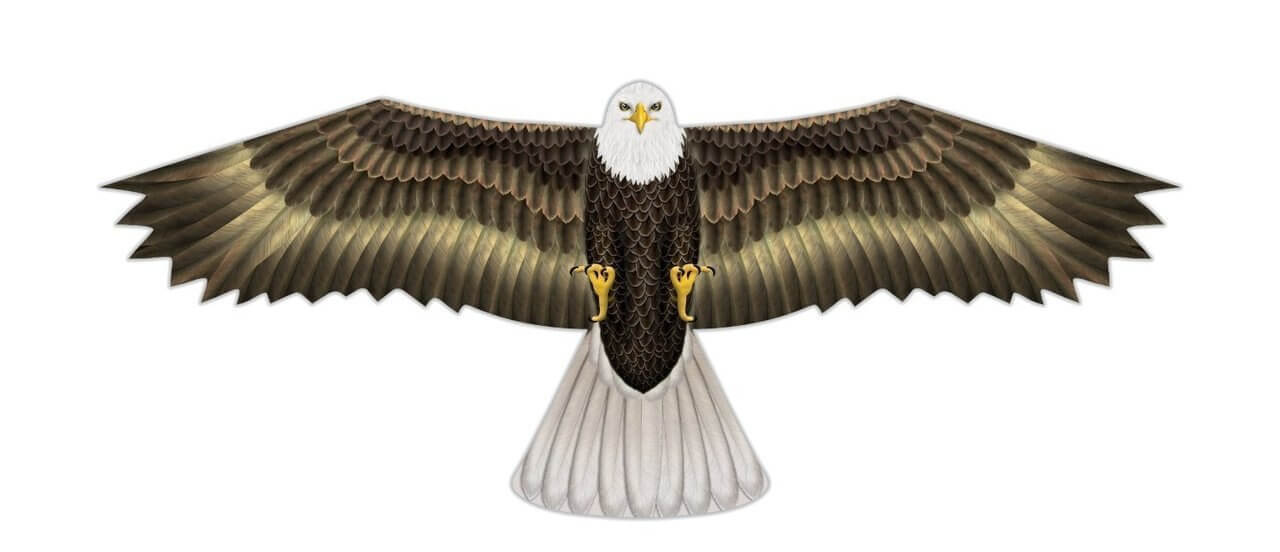 Birds of Prey Eagle Vlieger - 122 x 50 cm