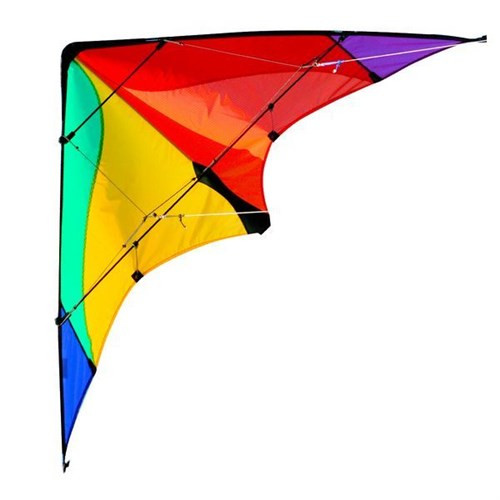 Elliot Delta Basic Kite/Vlieger Rainbow-Black