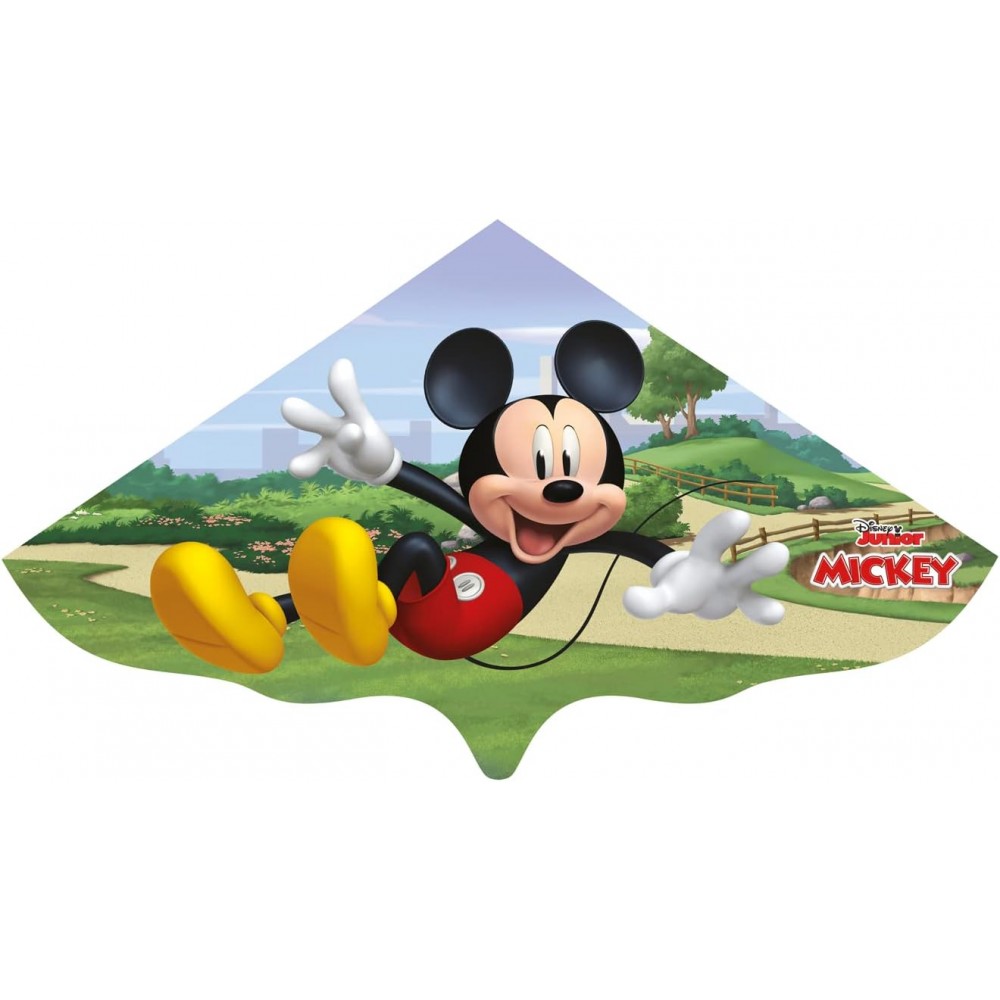Gunther Mickey Mouse Vlieger