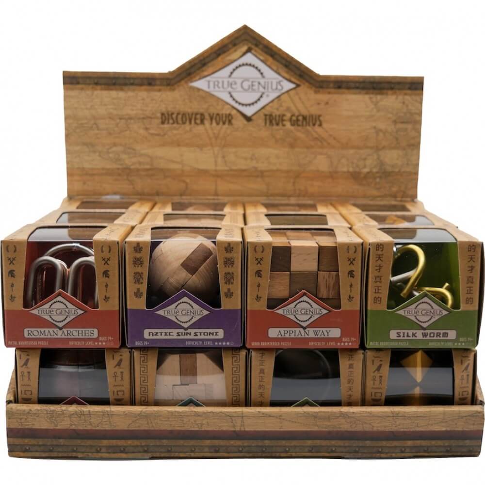 Project Genius Assorted Collection Houten IQ Spel Per Stuk