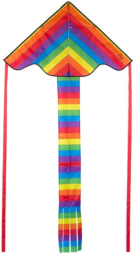 Dragonfly Rainbow Kite 100x200 CM 1-Lijns Vlieger